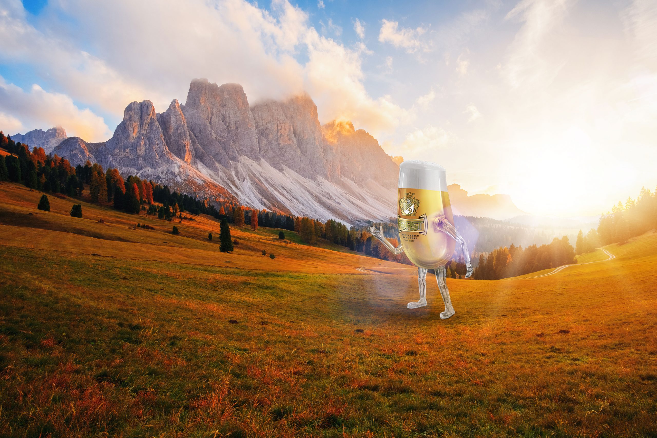 forst_header-hp_autumn23