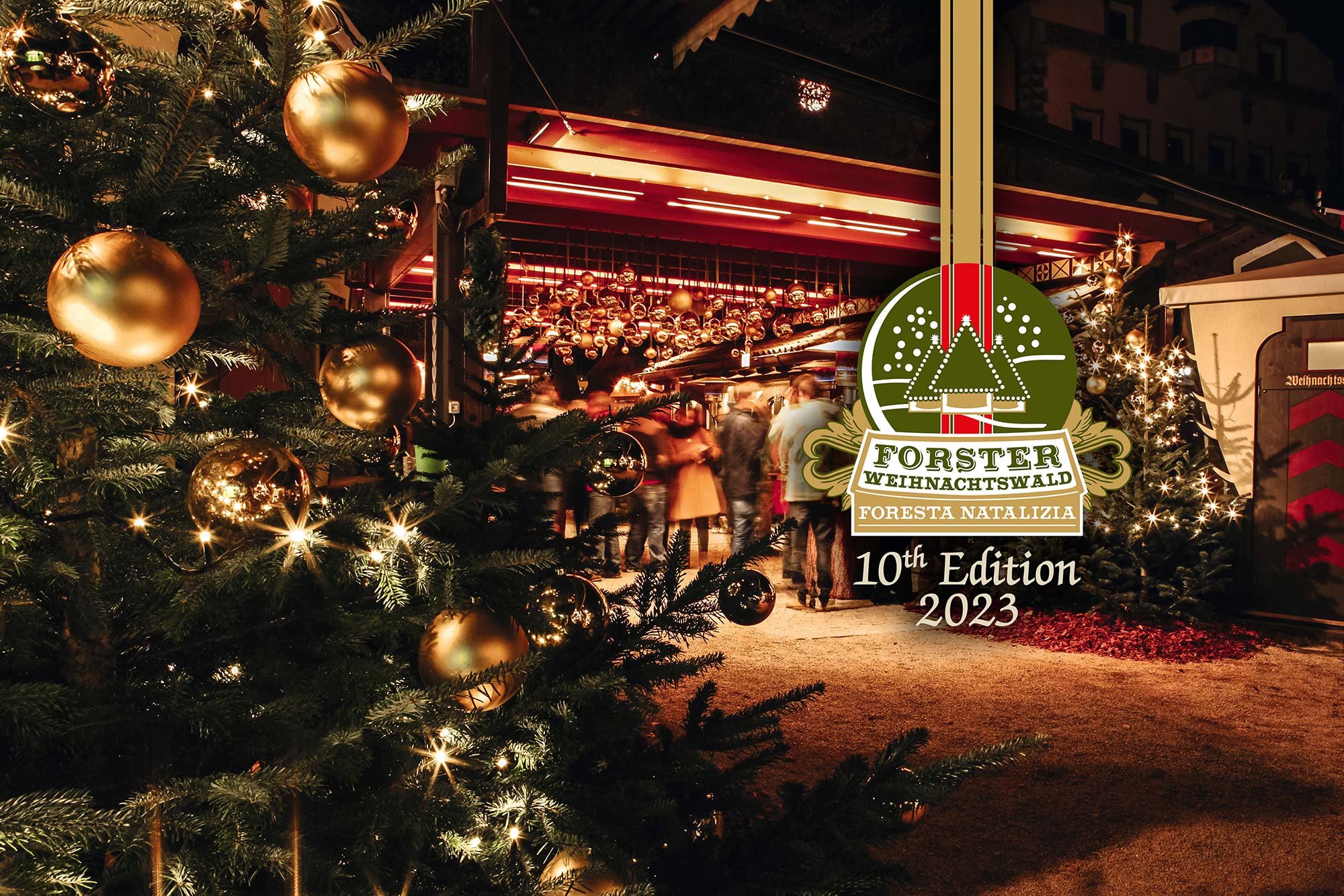 forst_header-hp_foresta-natalizia_dx