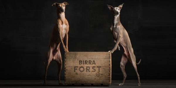Birra FORST promotes photo shots for our four legged friends.