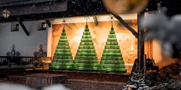 Zum 11. Mal öffnet der Forster Weihnachtswald seine Tore.