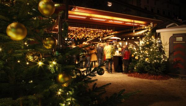 Forster Weihnachtswald 2025/2026