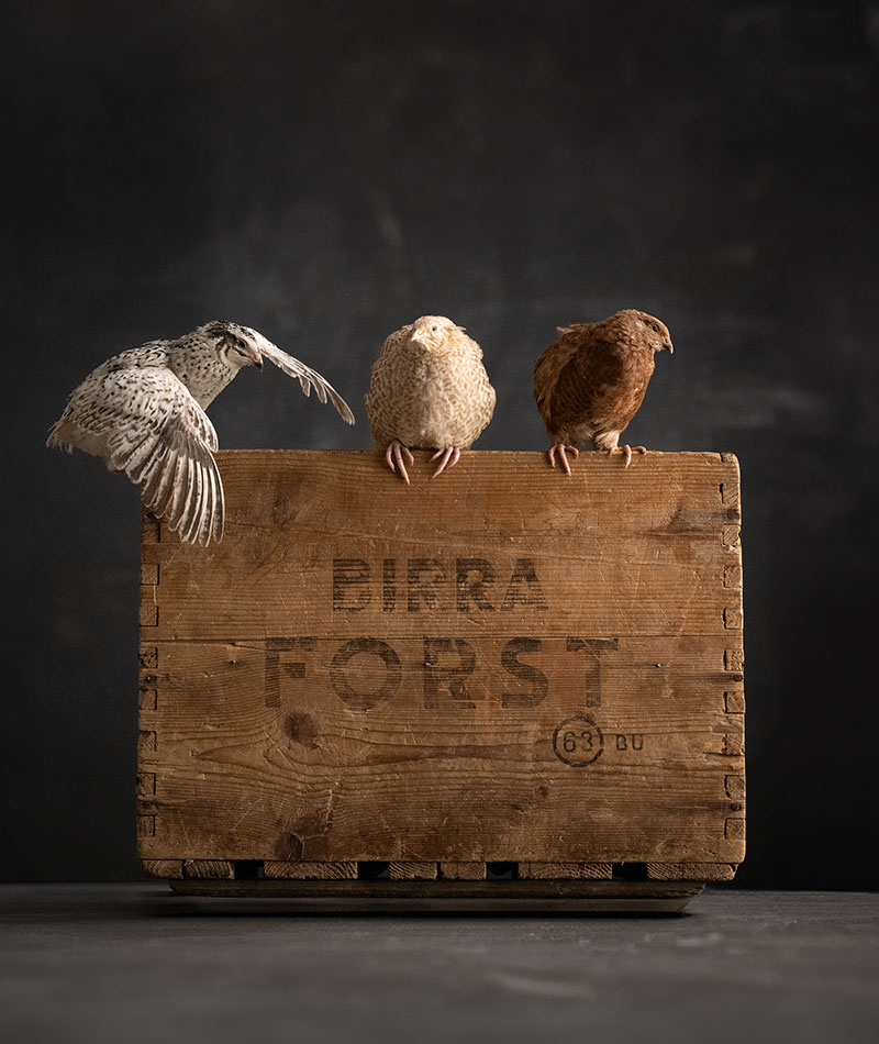 forst_territorio-umano_gallery_800x950_21.11_3a